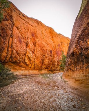 Utah 'taki Grand Staircase-Escalante Ulusal Anıtı' ndaki bir derenin manzarası