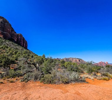 Coconino Ulusal Ormanı, Arizona 'daki Adliye Sarayı' nın Butte Patikası manzarası