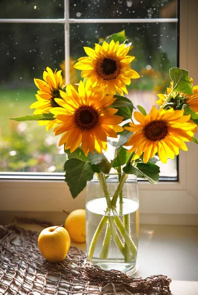 Strauß Sonnenblumen Glasvase Fenstersims Stillleben Sommergelber Blumen Mit Apfel Und — Stockfoto