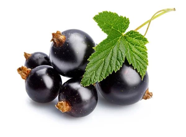 Bayas Grosella Negra Con Hoja Verde Fruta Fresca Aislada Sobre —  Fotos de Stock