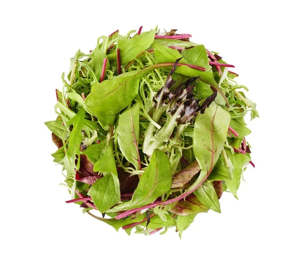 有机新鲜沙拉绿叶 从白色背景分离出来的用于健康饮食的含维生素的食品草药 — 图库照片
