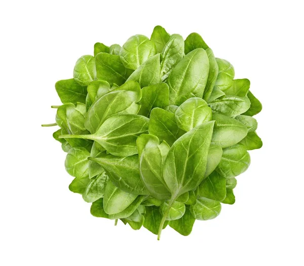 Bando Espinafres Folhas Verdes Frescas Alimentação Saudável Vegetal Orgânico Natural — Fotografia de Stock