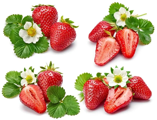 Collage Mix Set Erdbeeren Mit Grünem Blatt Und Blumen Isoliert — Stockfoto