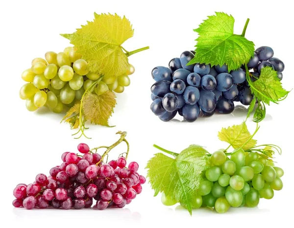 Zestaw Kolaż Klastra Świeże Winogrona Dojrzałe Owoce Izolacja Białym Tle — Zdjęcie stockowe