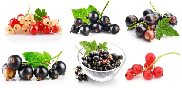 Collage Mix Set Currant Berries Green Leaf Isolated White Background — Stock Photo, Image