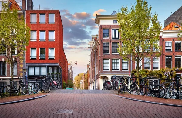 Амстердам Осенние Улицы Традиционными Домами Городской Пейзаж Велосипедами Желтым Деревом — стоковое фото