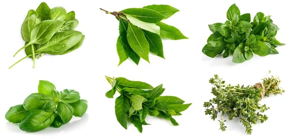 Conjunto Mistura Colagem Molho Espinafre Folha Verde Fresca Alimentação Saudável — Fotografia de Stock