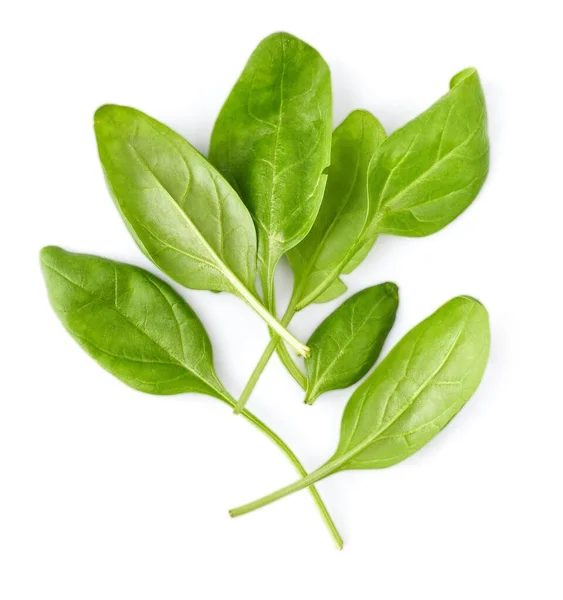 新鮮な緑の葉のほうれん草の束 健康的な自然有機野菜を食べる ベッド付きの緑 白い背景に隔離された — ストック写真