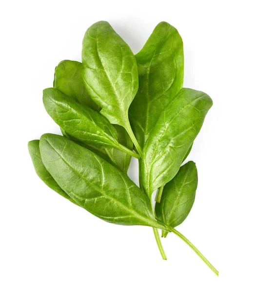 Ramo Espinacas Hoja Verde Fresca Alimentación Saludable Vegetal Orgánico Natural — Foto de Stock