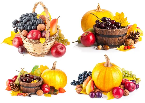 Collage Mix Set Van Herfstfruit Mand Geïsoleerd Witte Achtergrond — Stockfoto