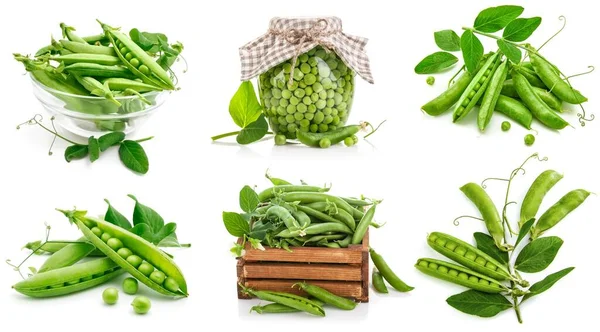 Collage Mix Set Fresh Pea Pod Green Leaves Isolated White — Stock Photo, Image