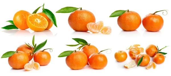 Collage Mix Set Fresh Tangerine Fruits Cut Green Leaves Isolated — Stock Photo, Image
