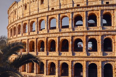 Roma, İtalya. Roma Kolezyumu (Kolezyum veya Colosseo) Flavian Amfitiyatrosunun antik kalıntıları. Gladyatör dövüşleri için arena. Dünyaca ünlü kent simgesi ve çok popüler turistik tatil beldesi gezisi