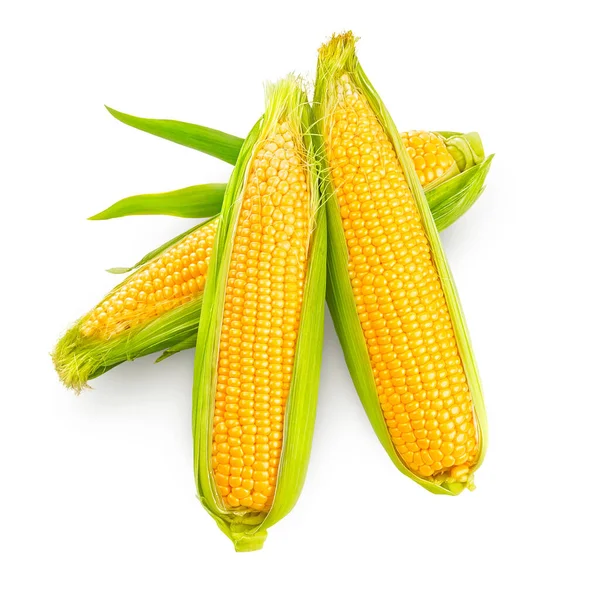 Maiskolben Mit Grünen Blättern Reifes Gemüse Ernten Gelbe Samen Isoliert — Stockfoto