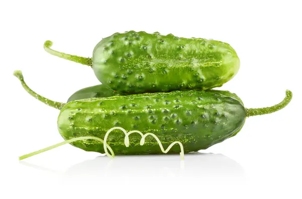 Taze Salatalık Olgun Yeşil Salatalık Sebzeleri Organik Yiyecekler Ben — Stok fotoğraf
