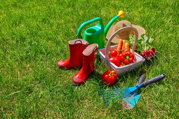 Gießkanne Mit Gartengeräten Und Frischem Gemüse — Stockfoto