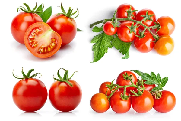 Collage Mix Set Tomato Cut Leaf Packaging Lab — Stock Photo, Image