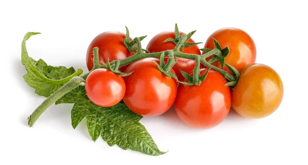 Frische Tomaten Mit Grünen Blättern Tomatengemüse Brunch Vege — Stockfoto