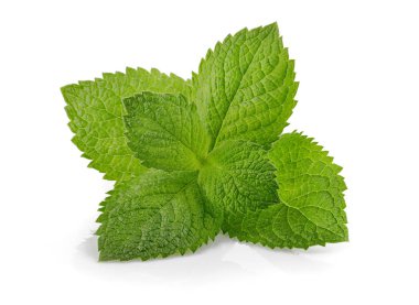 Yeşil nane yaprağı. Mo için taze aromatik bitkiler.
