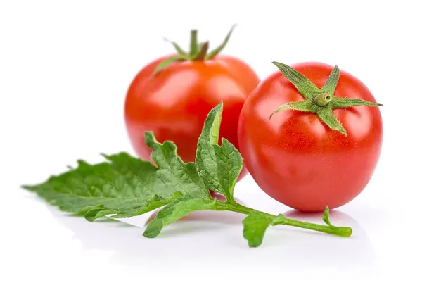 Organic Tomato Vegetables Two Tomatoes Green Leaf Still — Stock Photo, Image