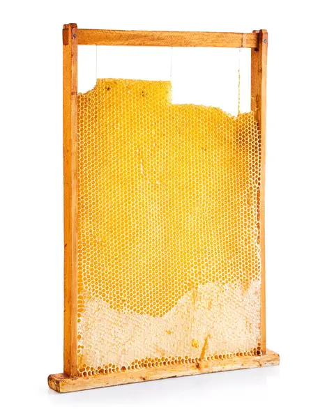 Sweet Honey Bee Honeycombs Wooden Frame Isolated White — Stock Photo, Image