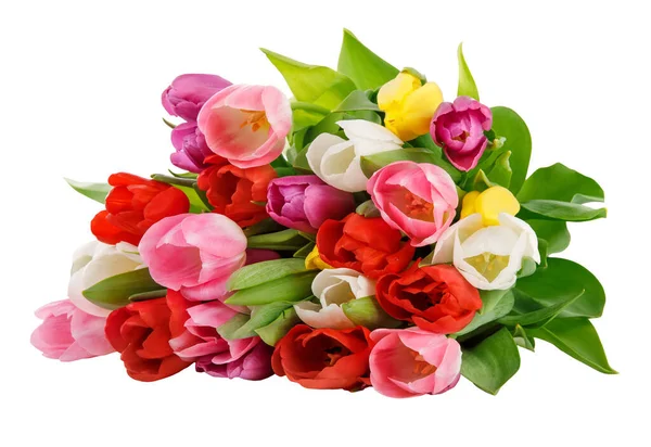 Jarní Tulipány Kytice Romantický Pozdrav Dárek Pro Narození Stock Fotografie