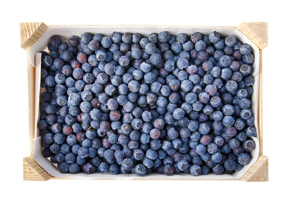 ブルーベリーの果実は木箱で新鮮な収穫をしています ジューシーベリー ストック画像