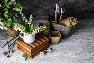 Buket baharı vadideki beyaz zambak. Çiçek hala hayatta.