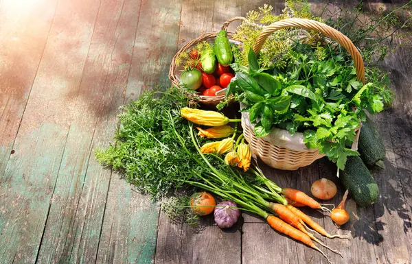 ガーデニング農業 新鮮な有機野菜とスパイシーなハーブ ロイヤリティフリーのストック写真