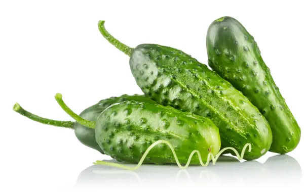Frische Gurken Grünes Reifes Gurkengemüse Bio Lebensmittel Ich lizenzfreie Stockbilder