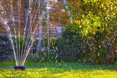 Sabah bahçedeki yeşil çimleri sulayan fıskiyeler. Yüzeyin derinliği. Peyzaj ve bahçıvanlık..