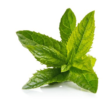 Beyaz arka planda izole edilmiş mojito içeceği için taze nane yeşili otlar.