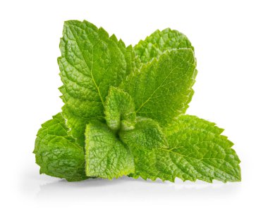 Yeşil nane yaprağı. Mojito ve ferahlatıcı kokteyller ya da çay içeceği için taze aromatik otlar. Organik doğal bitki yaprağı. Beyaz arkaplanda izole