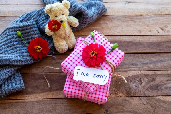 Sorry Message Card Handwriting Gift Box Teddy Bear Knitting Wool —  Fotos de Stock