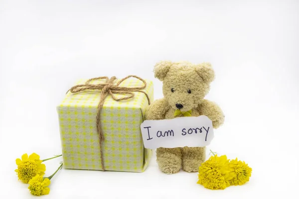 Sorry Message Card Handwriting Gift Box Teddy Bear Arrangement Flat —  Fotos de Stock