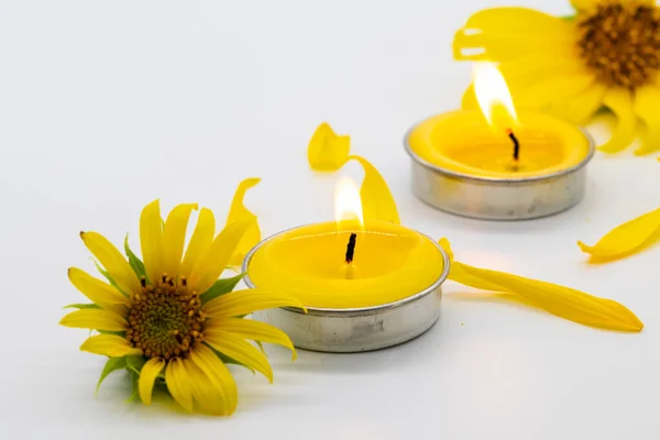 herbal yellow candle aromatherapy scented flowers with sunflowers arrangement flat lay style on background white