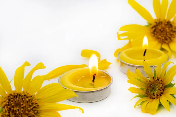 herbal yellow candle aromatherapy scented flowers with sunflowers arrangement flat lay style on background white