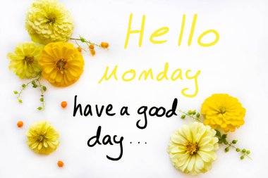 Merhaba Pazartesi. Sarı çiçekli güzel bir mesaj kartı el yazınız var. Zinnia elegans düzenleme kalpleri düz bir şekilde arka plan beyaz üzerine yatar. 