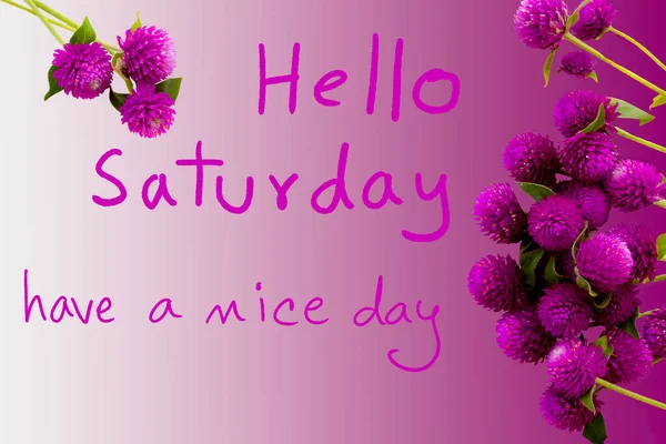 Hello Saturday Have Good Day Message Card Password Purple Flowers — стоковое фото