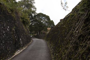 Arkaplan desenli sokak, taş duvar turistik cazibesi Penang Hills Malezya 