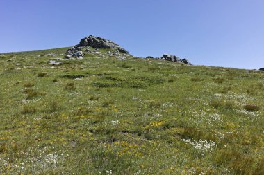 Bulgaristan 'ın Belmeken Barajı yakınlarındaki Rila dağının büyüleyici yaz manzarası