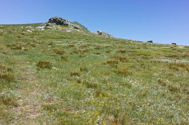 Bulgaristan 'ın Belmeken Barajı yakınlarındaki Rila dağının büyüleyici yaz manzarası