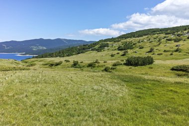 Bulgaristan 'ın Belmeken Barajı yakınlarındaki Rila dağının büyüleyici yaz manzarası