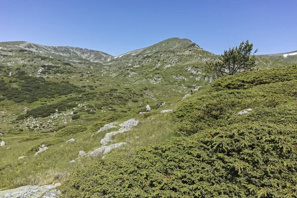 Ammazing Letni Krajobraz Góry Rila Pobliżu Zbiornika Wodnego Belmeken Bułgaria — Zdjęcie stockowe