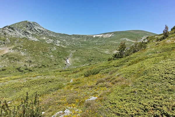 Ammazing Summer Landscape Rila Mountain Belmeken Reservoir Bulgaria — Stock Photo, Image