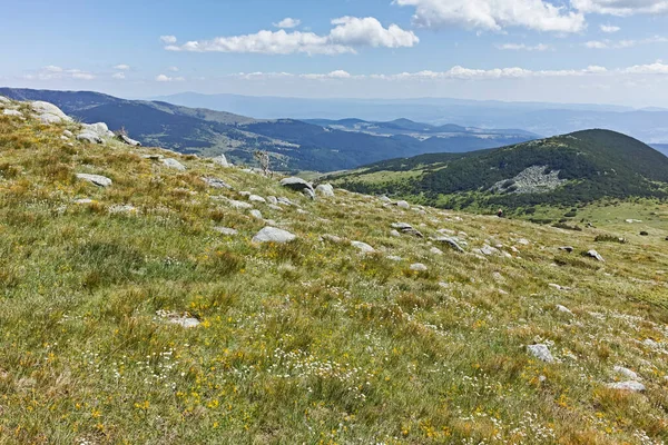 Bulgaristan Belmeken Barajı Yakınlarındaki Rila Dağının Büyüleyici Yaz Manzarası — Stok fotoğraf