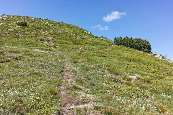 stock image Ammazing Summer landscape of Rila mountain near Belmeken Reservoir, Bulgaria