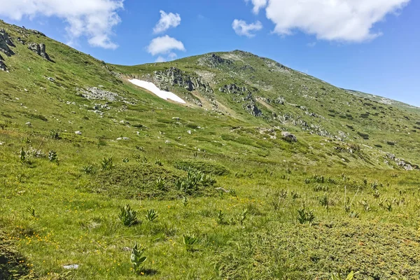 Ammazing Letni Krajobraz Góry Rila Pobliżu Zbiornika Wodnego Belmeken Bułgaria — Zdjęcie stockowe