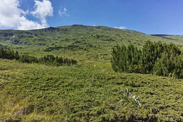 Increíble Paisaje Verano Montaña Rila Cerca Del Embalse Belmeken Bulgaria —  Fotos de Stock