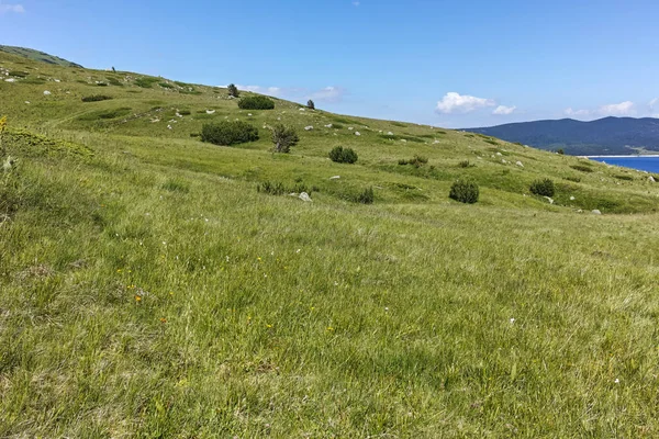 Ammazing Summer Landscape Rila Mountain Belmeken Reservoir Bulgaria — Stock Photo, Image